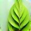 Símbolo de folha ecológica para compromisso ambiental